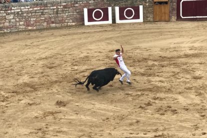 Toros en las fiestas de Medina de Rioseco