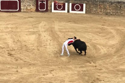Toros en las fiestas de Medina de Rioseco