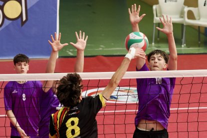 CESA. Campeonato de España por Federaciones de voleibol en Valladolid.