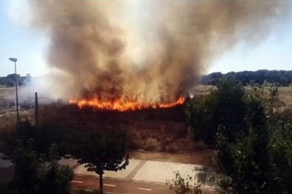 Incendio en Pinar de Jalón, en una imagen de archivo