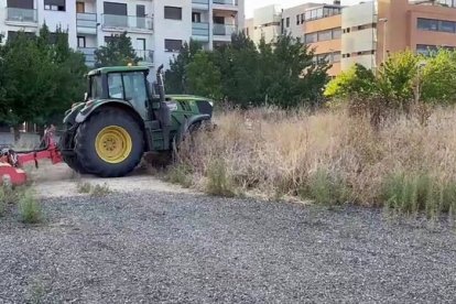 Desbroce de la parcela de entrada a Pinar de Jalón