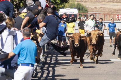 Cuarto encierro urbano en Laguna de Duero