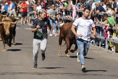 Cuarto encierro urbano en Laguna de Duero