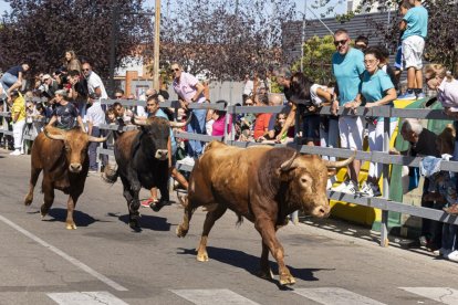 Cuarto encierro urbano en Laguna de Duero