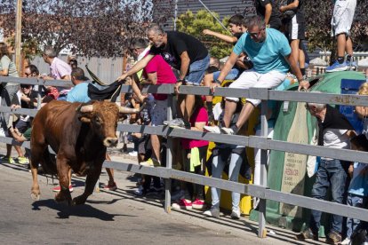 Cuarto encierro urbano en Laguna de Duero