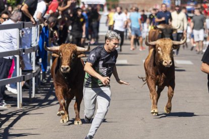 Cuarto encierro urbano en Laguna de Duero