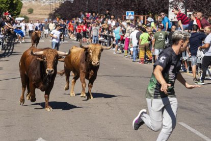 Cuarto encierro urbano en Laguna de Duero