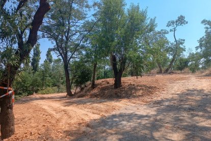 Obras en la reserva biológica-urbana El Tomillo