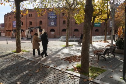 La calle Coso en la actualidad