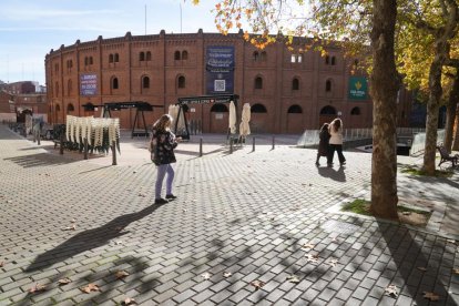 La calle Coso en la actualidad