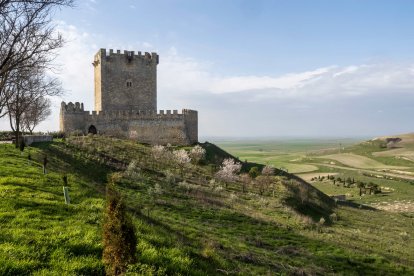 Castillo de Tiedra (Valladolid)