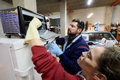 Uno de los electrodomésticos que se llevará a Valencia
