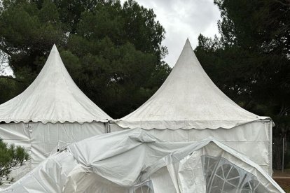 Ambiente en Pingüinos 2025 en la primera jornada del jueves.