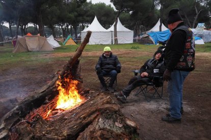 Ambiente en Pingüinos 2025 en la primera jornada del jueves.