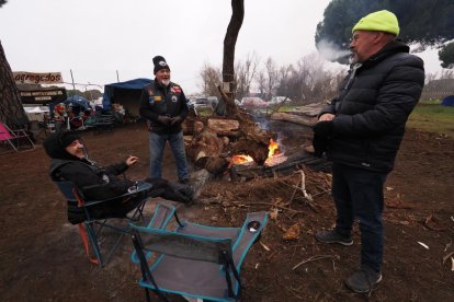 Ambiente en Pingüinos 2025 en la primera jornada del jueves.