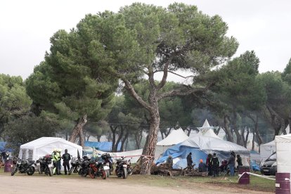 Ambiente en Pingüinos 2025 en la primera jornada del jueves.