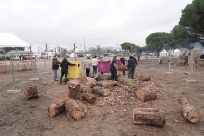 Ambiente en Pingüinos 2025 en la primera jornada del jueves.