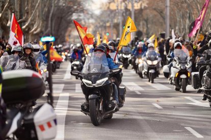 Desfile de Banderas en la 42ª edición de Pingüinos