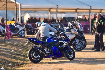 Despedida de la 42ª edición de Pingüinos