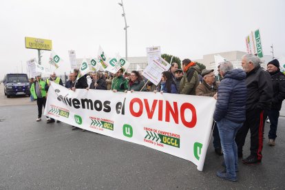 UCCL convoca una concentración con el lema 'Salvemos el ovino' para exigir contratos justos y protestar por los costes altos y precios bajos en el sector.