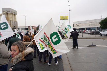 UCCL convoca una concentración con el lema 'Salvemos el ovino' para exigir contratos justos y protestar por los costes altos y precios bajos en el sector.