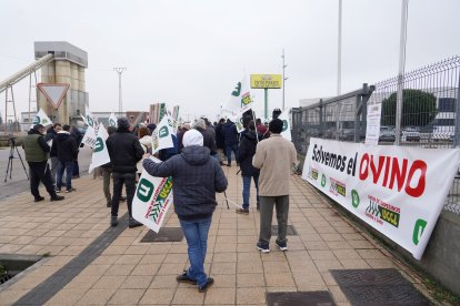 UCCL convoca una concentración con el lema 'Salvemos el ovino' para exigir contratos justos y protestar por los costes altos y precios bajos en el sector.