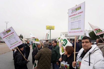 UCCL convoca una concentración con el lema 'Salvemos el ovino' para exigir contratos justos y protestar por los costes altos y precios bajos en el sector.