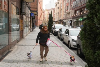 Calle Nicolás Salmerón en la actualidad