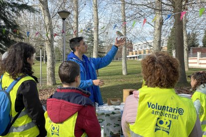 Voluntarios de Valladolid limpian el río Pisuerga.