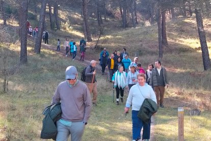 Ruta por la zona de la Atalaya y bodegas tradicionales en Traspinedo
