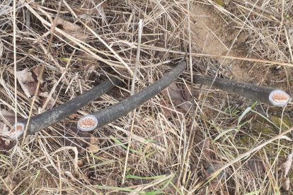 Robos en el campo denunciados por Asaja