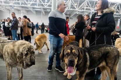 Feria Fimascota 2025