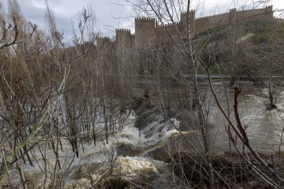 Río Adaja a su paso por Ávila.