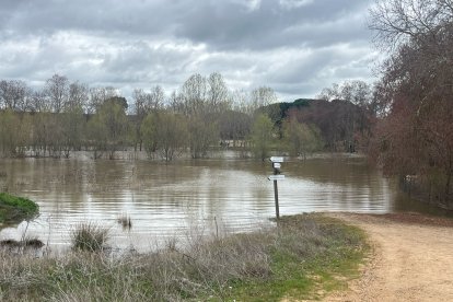 Río Adaja a su paso por Valdestillas en Valladolid.