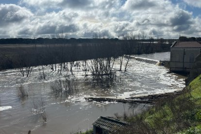 Río Adaja a su paso por Valdestillas en Valladolid.