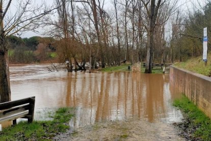 Río Adaja a su paso por Valdestillas en Valladolid.
