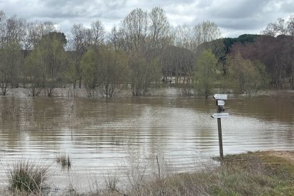 Río Adaja a su paso por Valdestillas