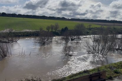 Río Adaja a su paso por Valdestillas