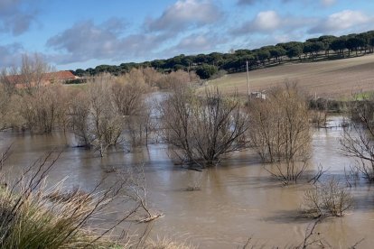 Río Adaja a su paso por Valdestillas