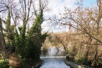 Subida del río Pisuerga durante la borrasca Martinho