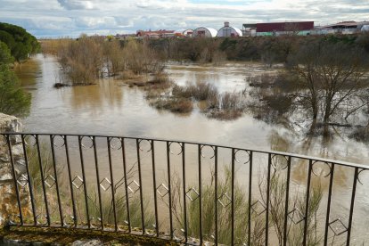 Crecida del río Adaja por Valdestillas