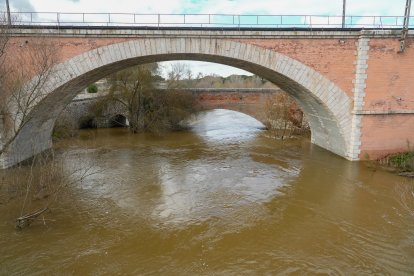 Crecida del río Adaja por Valdestillas