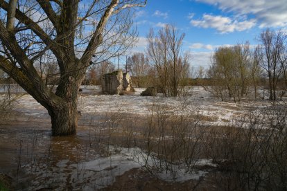 Crecida del río Duero por San Miguel del Pino
