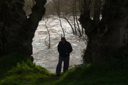 Crecida del río Duero por San Miguel del Pino