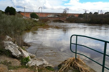 Crecida del río Duero por San Miguel del Pino