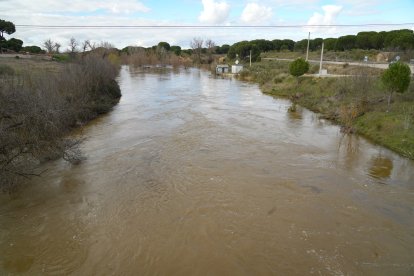Crecida del río Adaja por Valdestillas