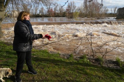 Crecida del río Duero por San Miguel del Pino