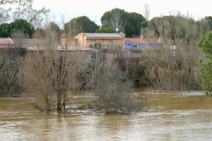 Crecida del río Adaja por Valdestillas