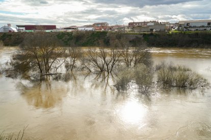 Crecida del río Adaja por Valdestillas