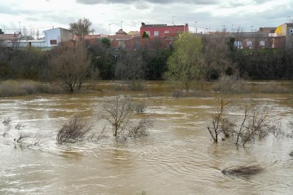 Crecida del río Adaja por Valdestillas